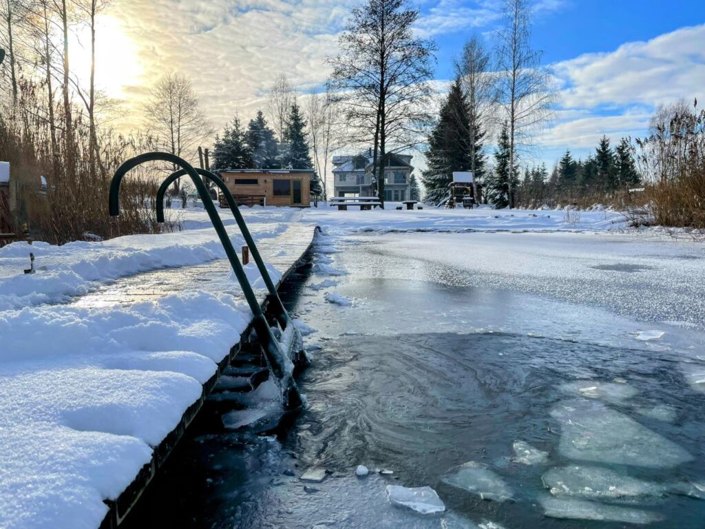 Zimowa sceneria z zamarzniętym jeziorem i domami na brzegu.