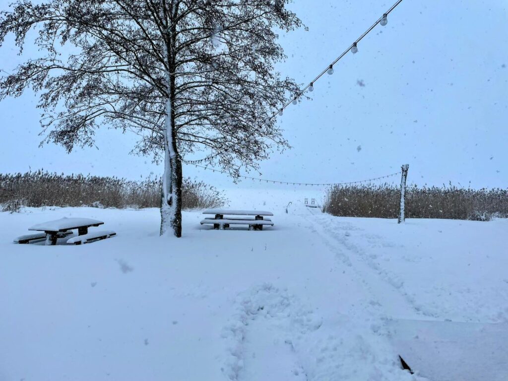 Zimowy widok na jezioro w Augustowie z ławeczką pokrytą śniegiem oraz drzewami i szuwarami po bokach.